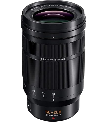 PANASONIC LUMIX G X VARIO LENS, 35-100MM, F2.8 ASPH., PROFESSIONAL